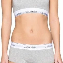Calvin Klein Modern Cotton Boy Short F3788E -Lingerie-Dames-Badmode Winkel 382x840 2