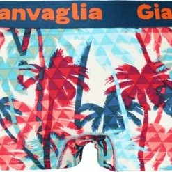 Gianvaglia Dames Onderbroek Katoen - Boxershort 5-pack - Korte Pijp - Maat XXL -Lingerie-Dames-Badmode Winkel 550x384 3