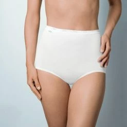 Sloggi Basic+ Dames Maxi Slip - Huidskleur - Maat 46 -Lingerie-Dames-Badmode Winkel 550x519 2