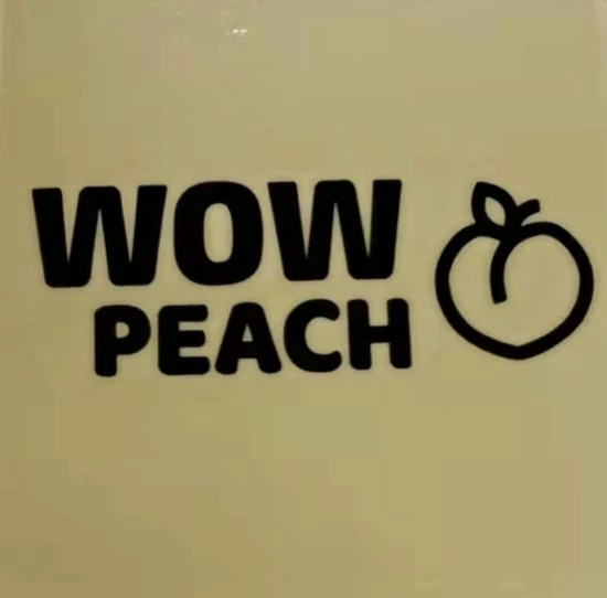 Wow Peach String Shaper Zwart Maat XL | New Thong Shaper | Corrigerend String | Onzichtbare String | String Met Hoge Taille | Shape Wear | High Waist String |Dames | Correctie Ondergoed|Naadloos String | Seamless Thong | Afslank 3 Wow Peach String Shaper Zwart Maat XL | New Thong Shaper | Corrigerend String | Onzichtbare String | String Met Hoge Taille | Shape Wear | High Waist String |Dames | Correctie Ondergoed|Naadloos String | Seamless Thong | Afslank - Afbeelding 3