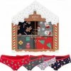 Merkloos 4 Stuks Kerst Damesslips - Kerstcadeau - Cadeauset - Damesondergoed - Maat M
