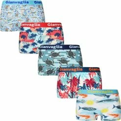 Gianvaglia Dames Onderbroek Katoen - Boxershort 5-pack - Korte Pijp - Maat XXL